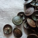 German Militaria WWI - Company buttons